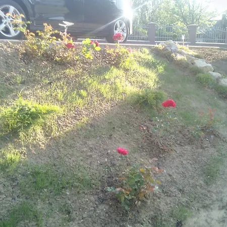 Apartman Balla Zalakaros