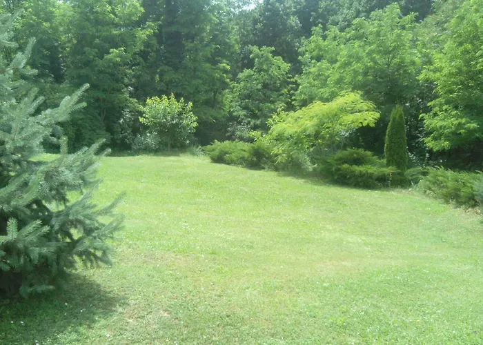 Balla * זלקרוס